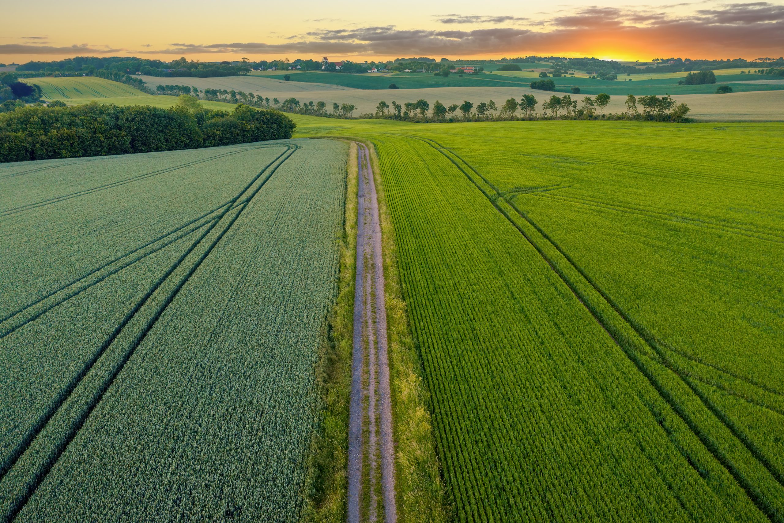 Schelhaas Makelaardij