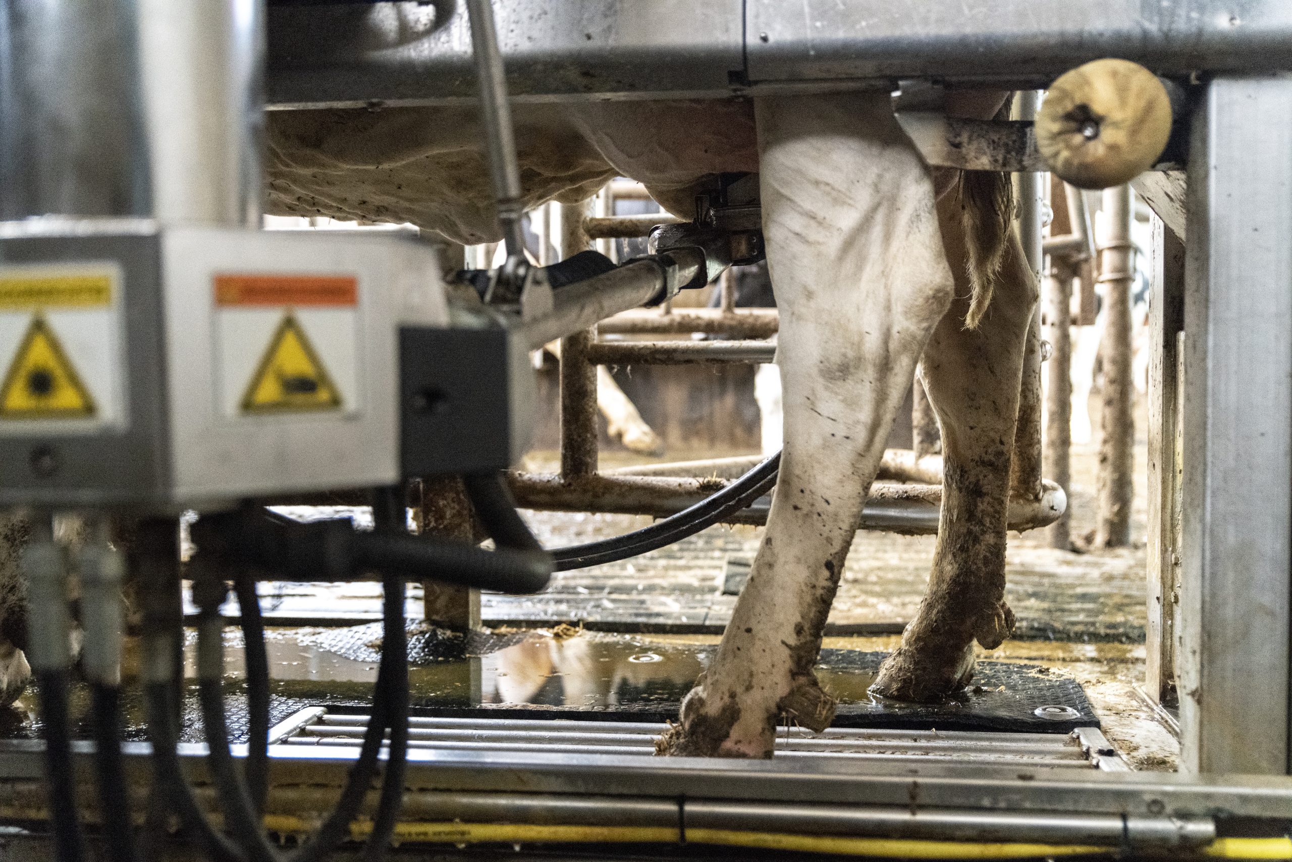 Schelhaas Makelaardij