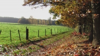 herfst_landelijk_wonen_ruimte_vrijuitzicht