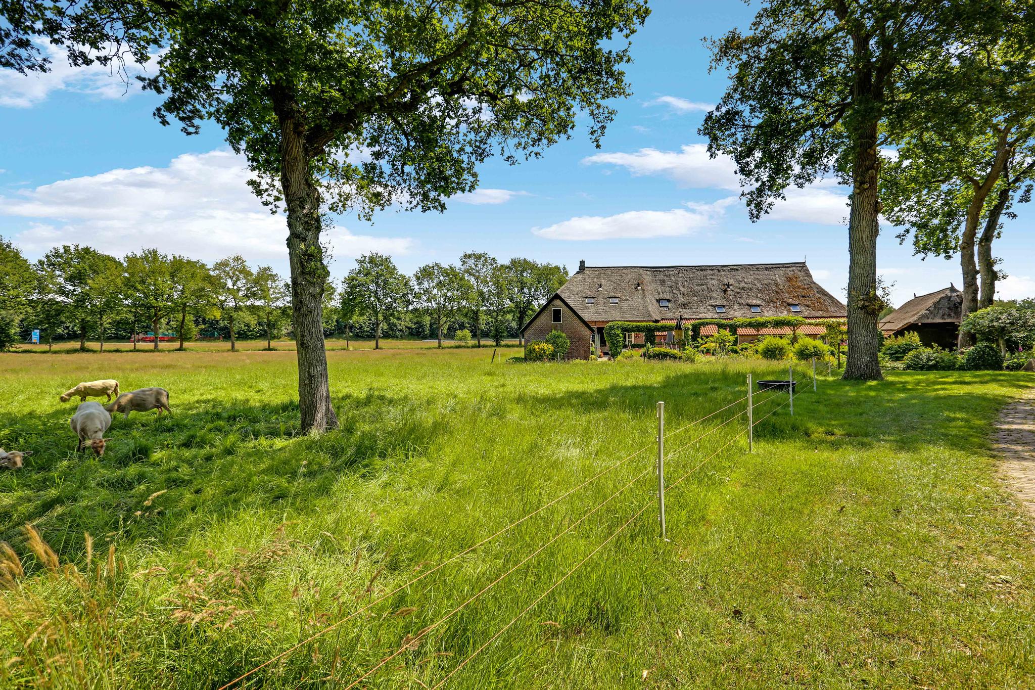 Schelhaas Makelaardij