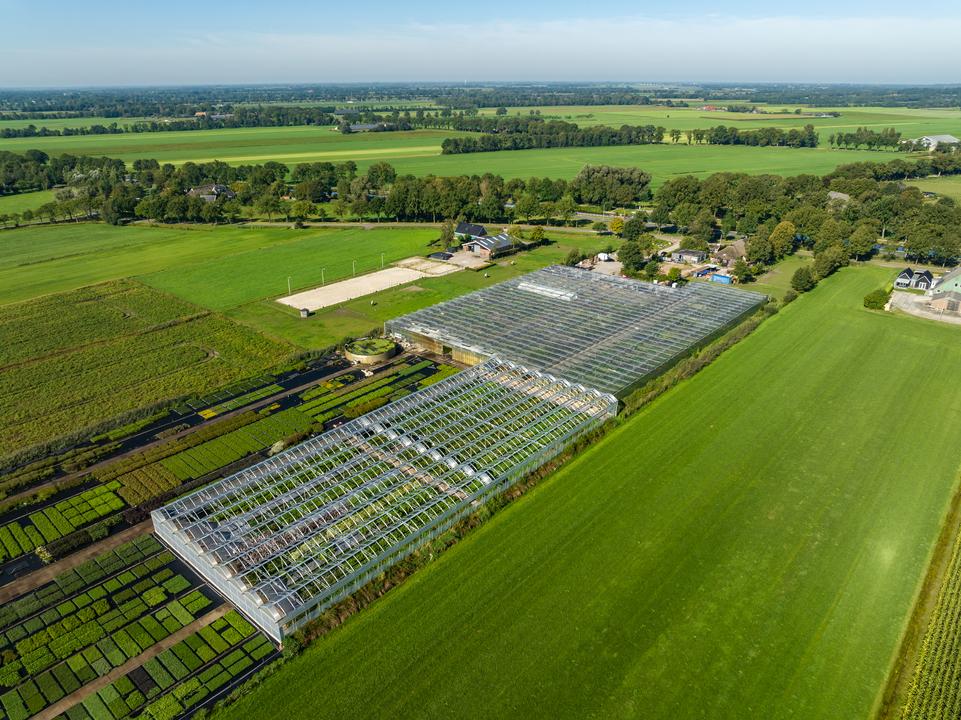 Schelhaas Makelaardij