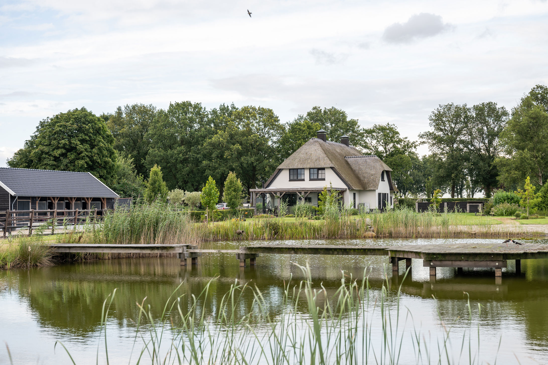 Schelhaas Makelaardij