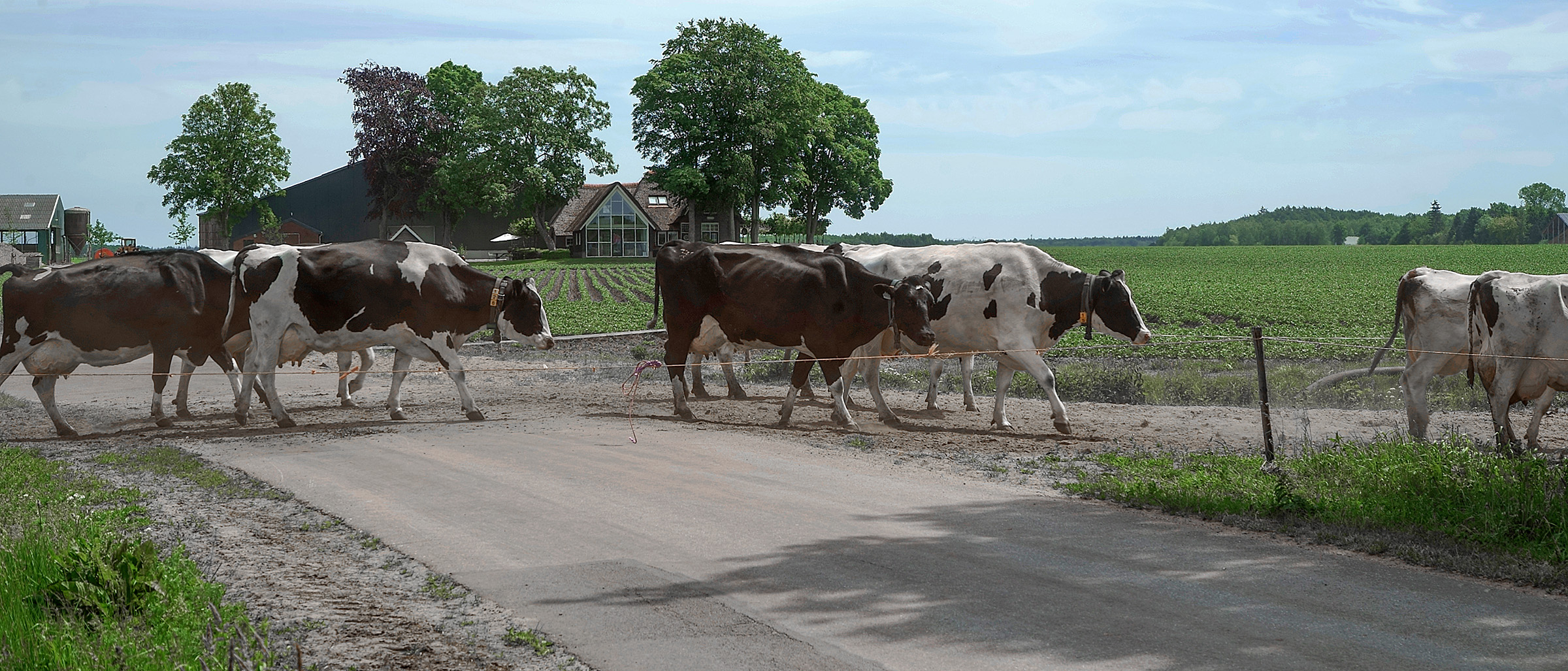 Schelhaas Makelaardij