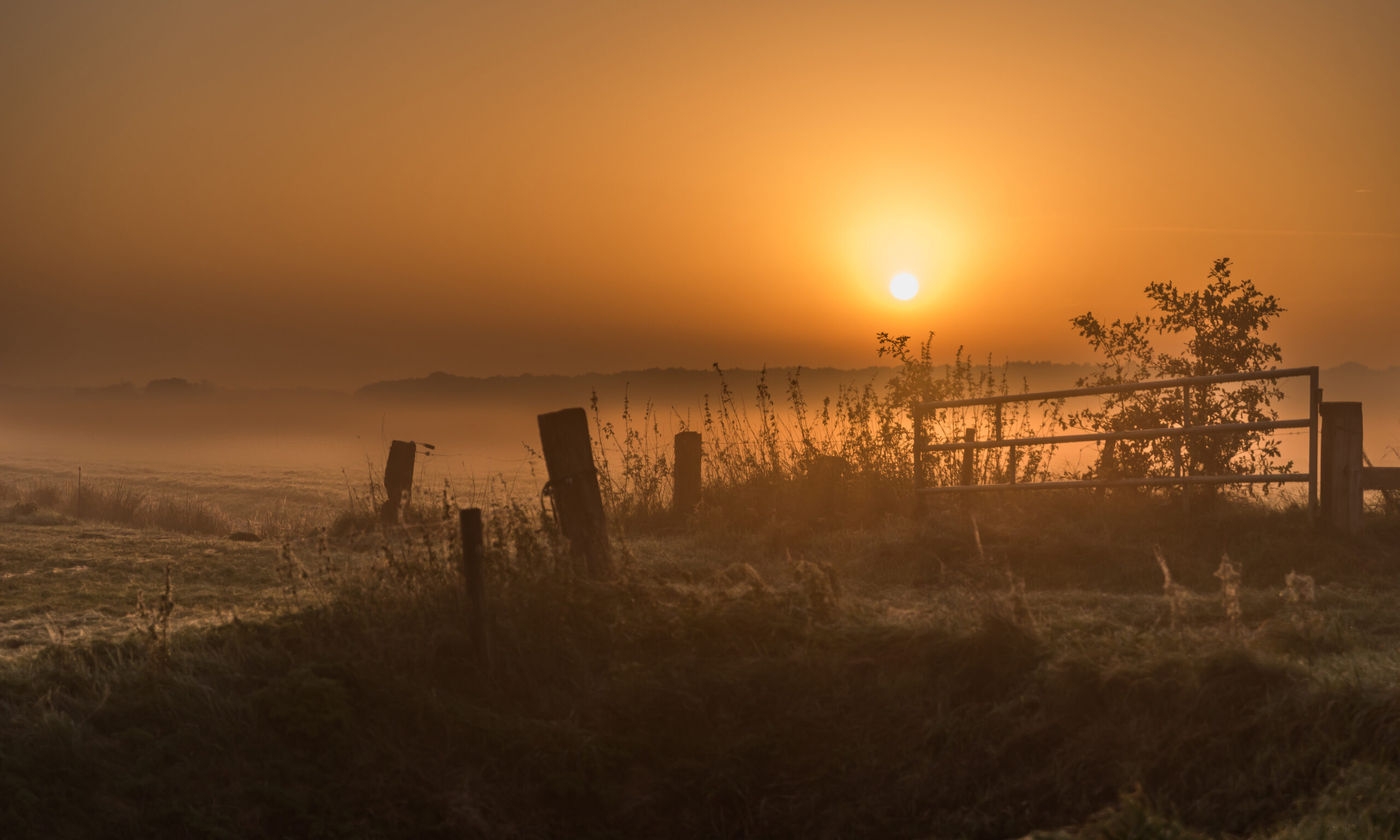 Schelhaas Makelaardij
